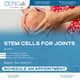 Slider image (10) Cmcells, Centro Medico Celular, (Stem Cells Medical Center)